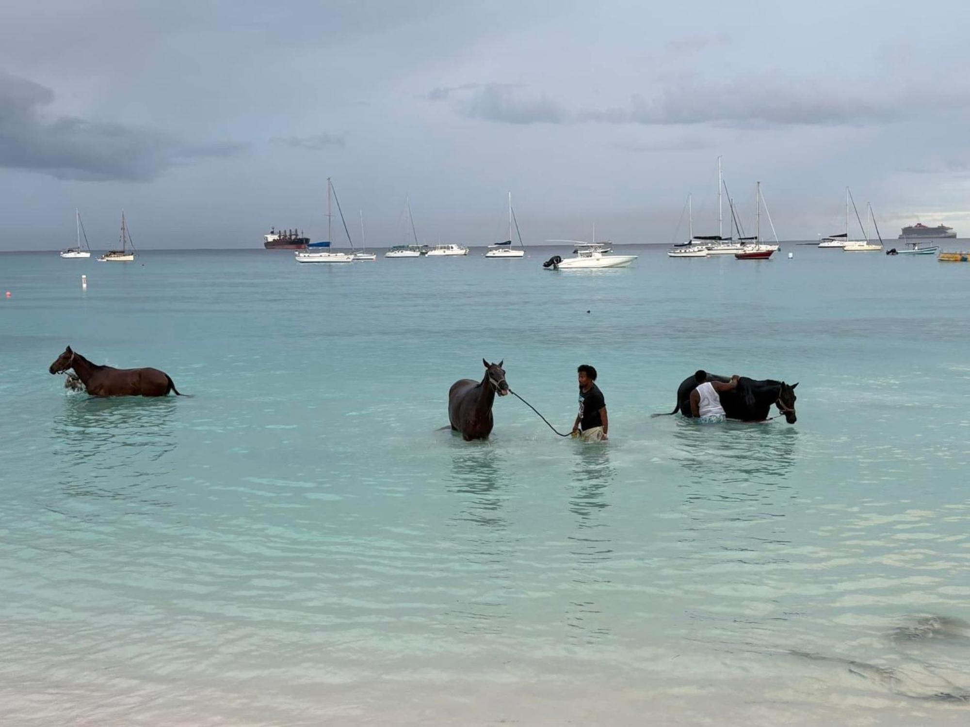 T.Cole'S Holiday Rental เซนต์เจมส์ ภายนอก รูปภาพ